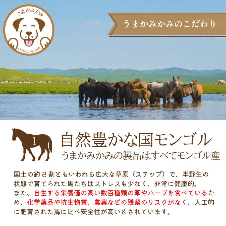 犬 ガム 長持ち 馬背筋ガム 短め Sサイズ 500g 無添加 おやつ うまかみかみ モンゴル産 (27.3.30)202304nikuの画像