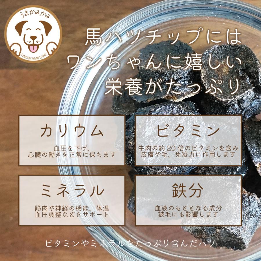 犬 おやつ 無添加 うまかみかみ おすそわけセット 馬ハツチップ 個包装