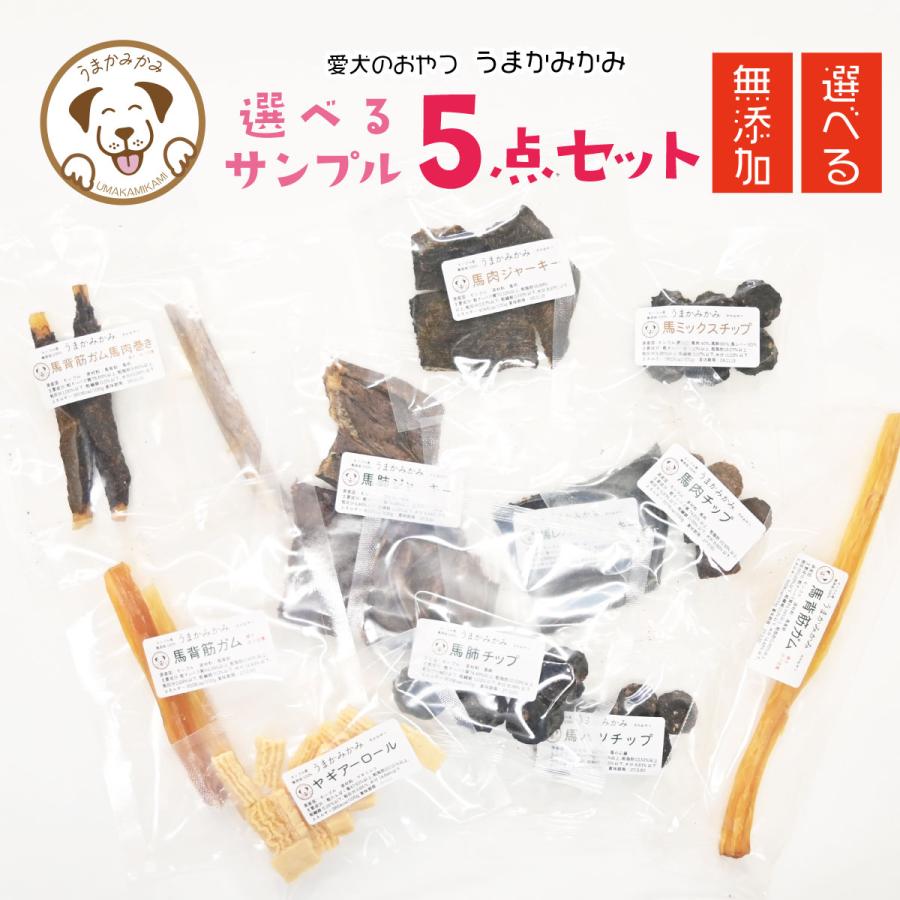 送料無料 犬 おやつ 無添加 小袋 選べる5袋 うまかみかみ お試し サンプル ギフト セット 誕生日 プレゼント 詰め合わせ ガム チーズ グルテンフリー クッキー の商品画像
