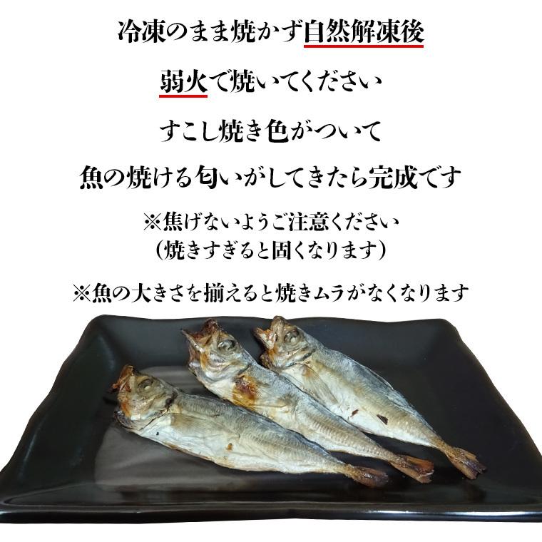 アジ 豆アジ 丸干し 長崎 壱岐 （数量限定） 30匹 冷凍 10匹入×3袋 無添加 送料込（北海道・沖縄は別途送料）【AA】｜umakamonya｜06