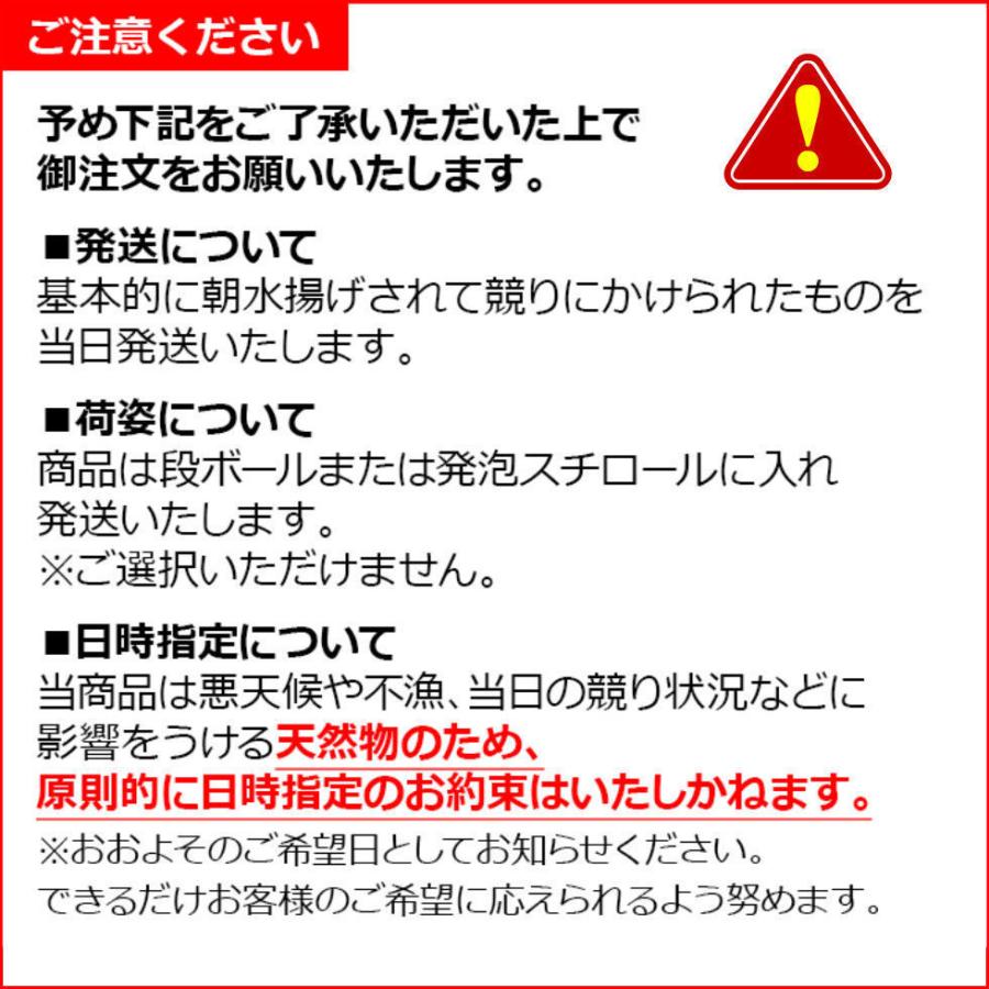 H長崎県 壱岐産 天然キジハタ あこう 1kg 2 3匹 鮮魚 生 まるごと 丸魚 きじはた お取り寄せ 今ならご注文日の翌営業日出荷可 Akou 壱岐 長崎うまかもん屋 Yahoo店 通販 Yahoo ショッピング