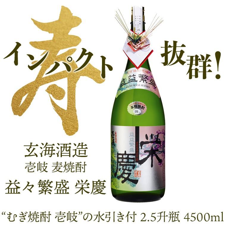 いいちこ 焼酎 25度 1.8L 1800ml パック 2ケース 12本 麦焼酎 三和