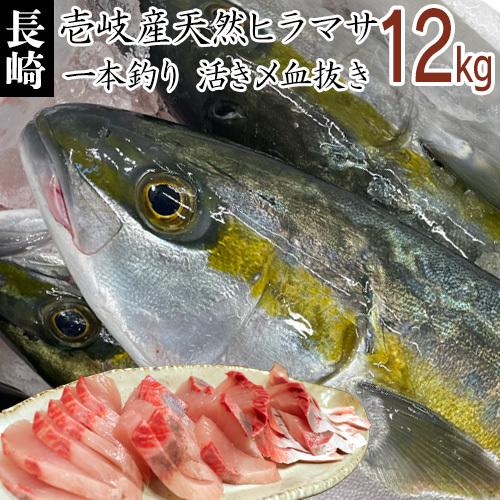 H 長崎県 壱岐島産 天然 ヒラマサ 12kg 鮮魚 ひらす 青魚 高級魚 Hiramasa 12 壱岐 長崎うまかもん屋 Yahoo店 通販 Yahoo ショッピング