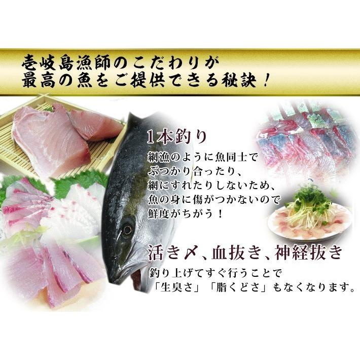 H 長崎県 壱岐島産 天然 ヒラマサ 12kg 鮮魚 ひらす 青魚 高級魚 Hiramasa 12 壱岐 長崎うまかもん屋 Yahoo店 通販 Yahoo ショッピング