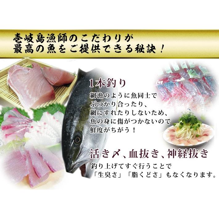 H 長崎県 壱岐島産 天然 ヒラマサ 3kg 鮮魚 ひらす 青魚 Hiramasa 3 壱岐 長崎うまかもん屋 Yahoo店 通販 Yahoo ショッピング