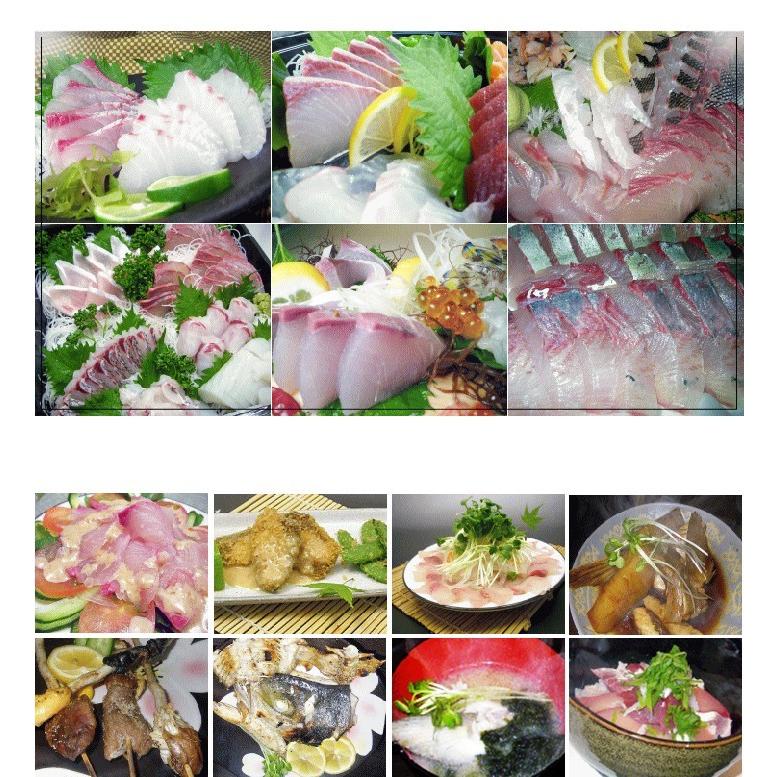 H 長崎県 壱岐島産 天然 ヒラマサ 6kg 鮮魚 ひらす 青魚 Hiramasa 6 壱岐 長崎うまかもん屋 Yahoo店 通販 Yahoo ショッピング