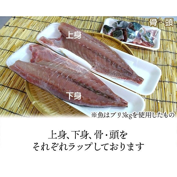 ヒラマサ お刺身用 お造り 天然 平政 壱岐 玄界灘 8kg 鮮魚  ひらす 青魚 寒ひらまさ 送料込（北海道・沖縄は別途送料）【H】｜umakamonya｜07