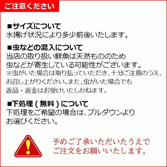 ヒラマサ 天然 半身 皮付フィーレ 壱岐産 7キロサイズ半身 血抜き 神経抜き送料込（北海道・沖縄は別途送料）【H】水揚げ次第発送｜umakamonya｜12