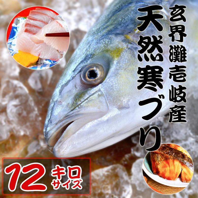 数量限定 H 玄界灘壱岐産天然寒ブリ12kg 一本もの 天然寒ぶり 1本釣り 丸もの 下処理代無料 送料込 北海道 沖縄は別途送料 コンビニ受取対応商品 Www Aqtsolutions Com