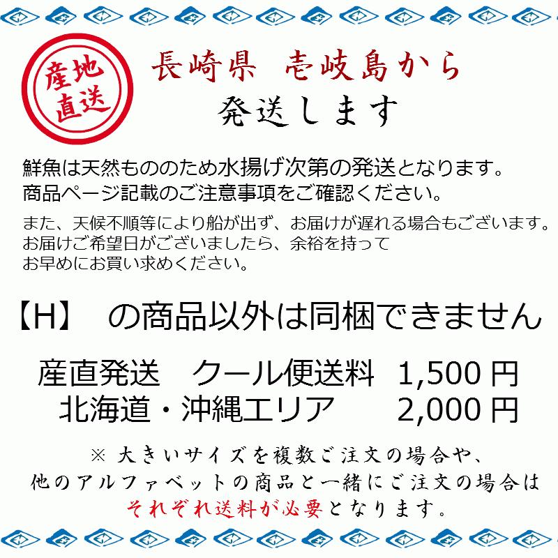Hh 長崎県 壱岐島産 天然本カワハギ 3匹 合計500g前後 冷凍便発送 Kawahagi 壱岐 長崎うまかもん屋 Yahoo店 通販 Yahoo ショッピング