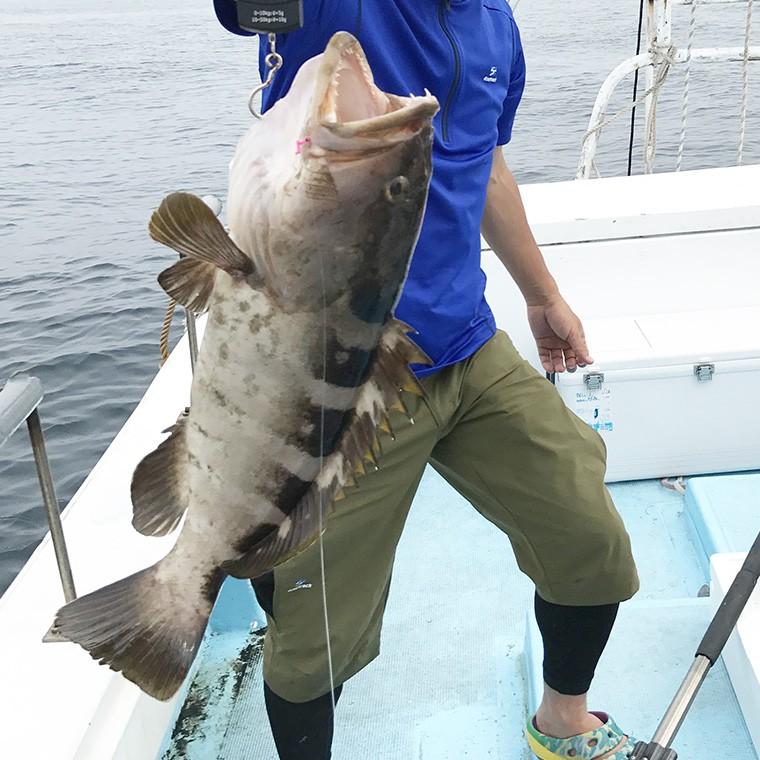 H 壱岐 長崎産 天然くえ 2キロ 鮮魚 アラ クエ モロコ 九絵 水揚げあり次第発送 Kue 2k 壱岐 長崎うまかもん屋 Yahoo店 通販 Yahoo ショッピング
