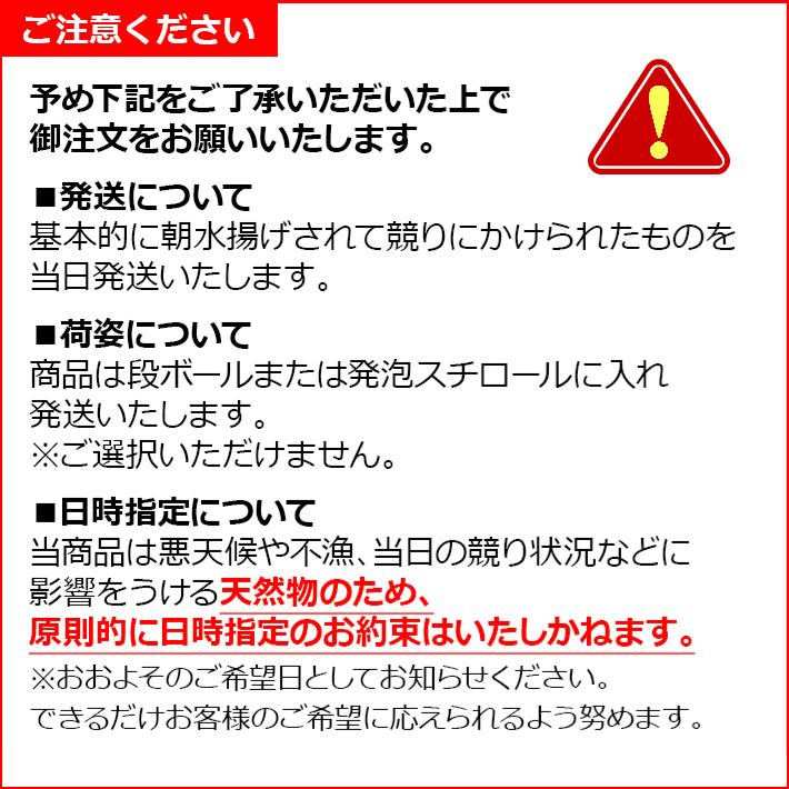 クエ さしみ アラ 天然 壱岐 玄界灘 春クエ 夏クエ 4キロ お刺身用 お造り アラ モロコ 唐揚げ 鍋 クエ鍋 雑炊に 下処理代無料（水揚げあり次第発送)【H】｜umakamonya｜16