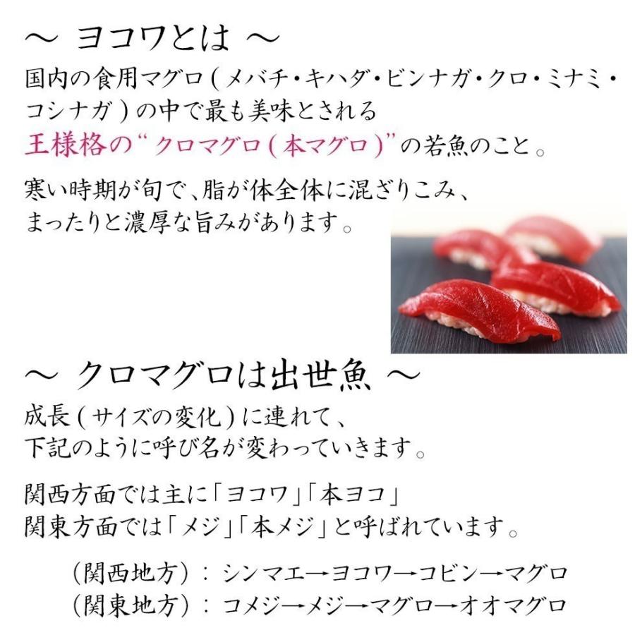 壱岐 長崎うまかもん屋 長崎県 壱岐産 マグロ まるごと 1本釣り メジマグロ 本メジ 本マグロ H まぐろ 天然 店 鮪 10キロ 生 本マグロ ヨコワ クロマグロ 10kg前後 鮮魚 Maguro 10k ホンヨコ 本メジ