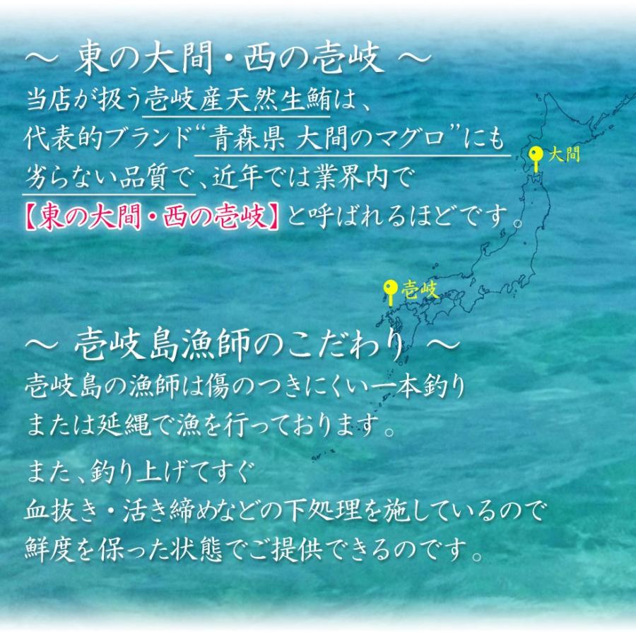 人気の新作 1本釣り 壱岐産 H長崎県 高級クロマグロの幼魚ヨコワを 