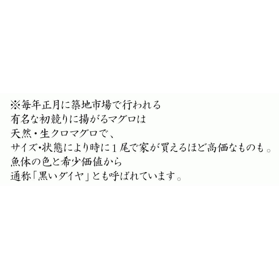 H長崎県 壱岐産 天然 ヨコワ 5キロ 鮮魚 1本釣り メジマグロ 本マグロ クロマグロ ホンヨコ 本メジ まぐろ 鮪 生 まるごと 5kg前後 ヨコワ 本メジ