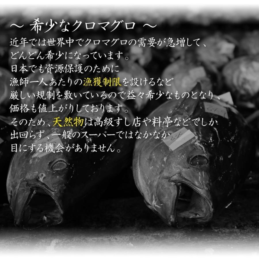 H長崎県 壱岐産 天然 ヨコワ 5キロ 鮮魚 1本釣り メジマグロ 本マグロ クロマグロ ホンヨコ 本メジ まぐろ 鮪 生 まるごと 5kg前後 ヨコワ 本メジ