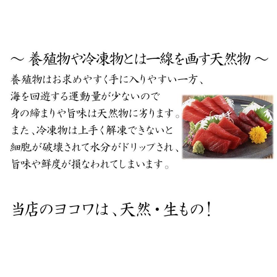 H長崎県 壱岐産 天然 ヨコワ 5キロ 鮮魚 1本釣り メジマグロ 本マグロ クロマグロ ホンヨコ 本メジ まぐろ 鮪 生 まるごと 5kg前後 ヨコワ 本メジ