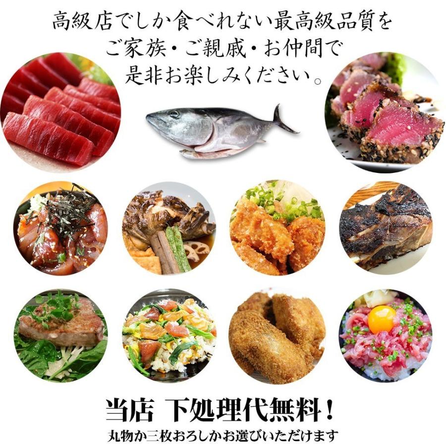 H長崎県 壱岐産 天然 ヨコワ 5キロ 鮮魚 1本釣り メジマグロ 本マグロ クロマグロ ホンヨコ 本メジ まぐろ 鮪 生 まるごと 5kg前後 ヨコワ 本メジ