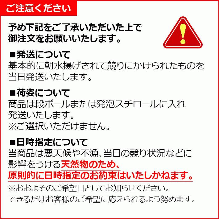 真鯛 天然マダイ 壱岐 長崎 5kg  鮮魚 下処理代無料  1本釣り  湯霜造り 真子 乗っ込み真鯛 桜鯛 御祝 贈答 刺身  塩焼 タイ茶漬 マダイ　H｜umakamonya｜12