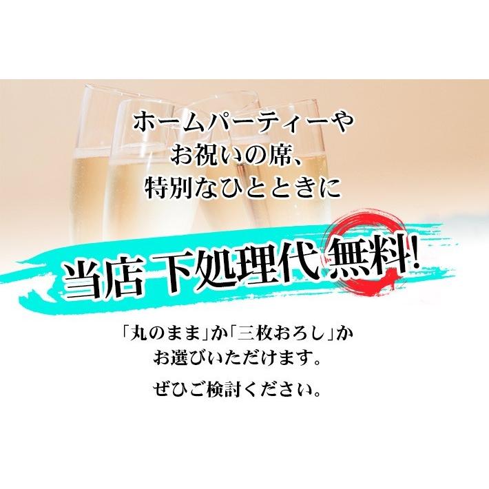 真鯛 天然マダイ 壱岐 長崎 5kg  鮮魚 下処理代無料  1本釣り  湯霜造り 真子 乗っ込み真鯛 桜鯛 御祝 贈答 刺身  塩焼 タイ茶漬 マダイ　H｜umakamonya｜07