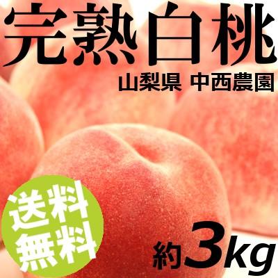 ※ご予約商品※7月10日頃から順次お届け※もも 白桃 3kg 10〜12玉 山梨県中西農園 送料無料 お中元 贈答品 取り寄せ 産地直送
