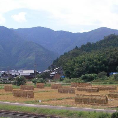 お米 5kg 白米 コシヒカリ 幻の御米 福井県若狭町産 精白米 特別栽培米 尾崎ファーム 送料無料 贈答品 お取り寄せ｜umakore｜04