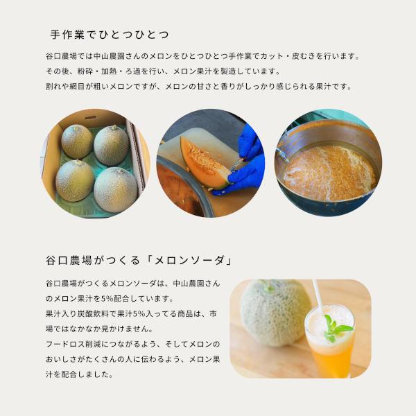 北海道 富良野中山メロンソーダ 谷口農場 中山農園 30本 250ml 缶入