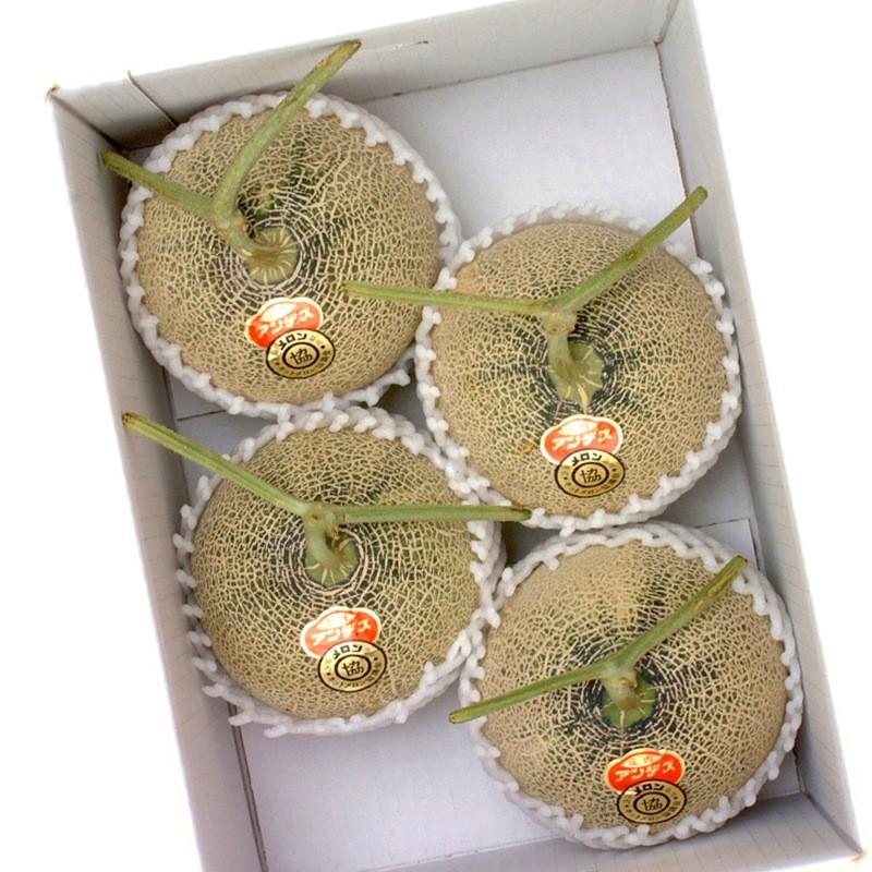 あると様　アンデスメロン4か5玉×2箱 茨城県産 JA茨城旭村 アンデスメロン A品 4Lから3Lサイズ 約5