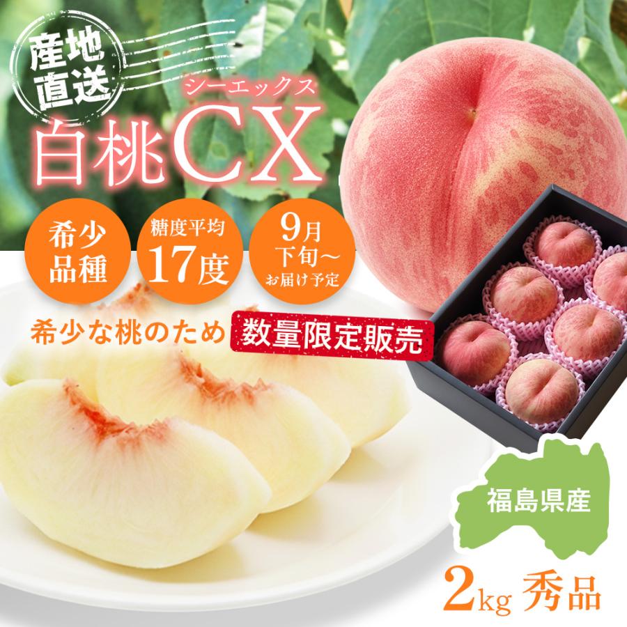福島県産桃 約10きろになります。 楽天市場】らきもも 福島県産 桃 特秀品 風袋込 約1.6kg（5～8玉