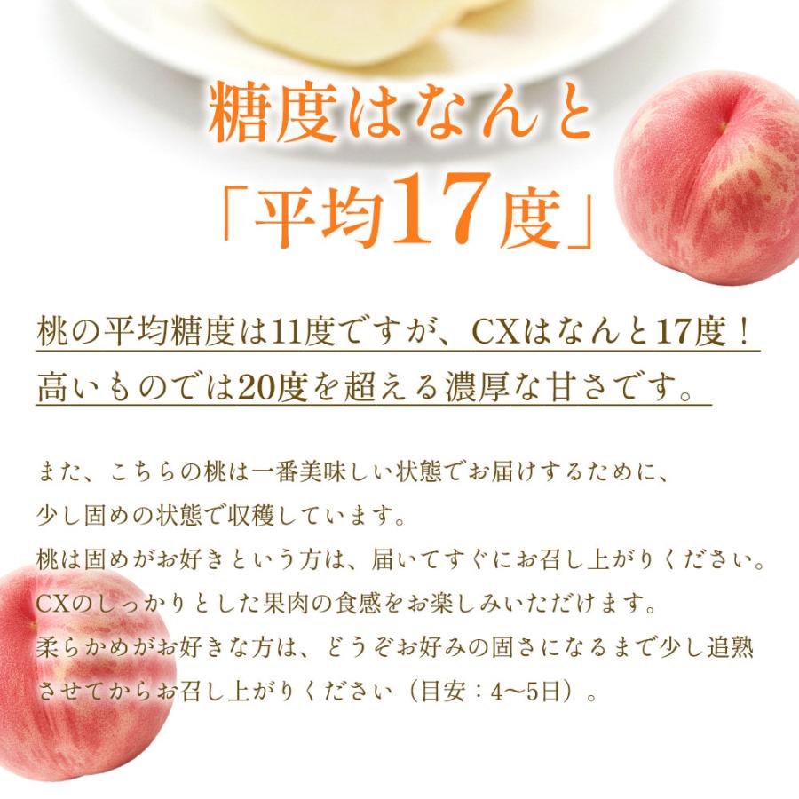 桃 もも モモ 白桃 福島県産 CX（シーエックス）白桃 秀品 約