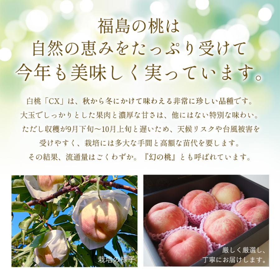 桃 もも モモ 白桃 福島県産 CX（シーエックス）白桃 秀品 約2kg(約6