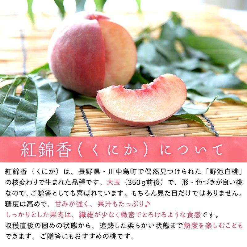 福島産白桃 秀品 紅錦香（くにか） 約3kg(約9〜12玉)【送料無料