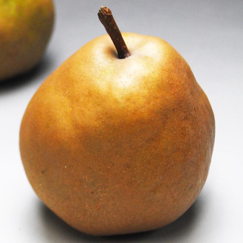 ラフランス らふらんす 洋梨 幻の黄金洋梨！ゴールドラフランス秀品  