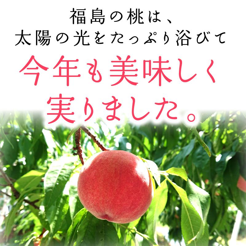 福島産桃 秀品あかつき 約２kg(約６〜８玉)【送料無料】福島産 桃 もも モモ｜umakou｜05