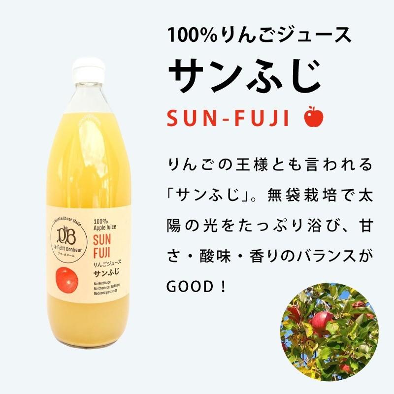 リオン信州りんごジュース 1リットル×12本入 信州混濁りんごジュース 1L