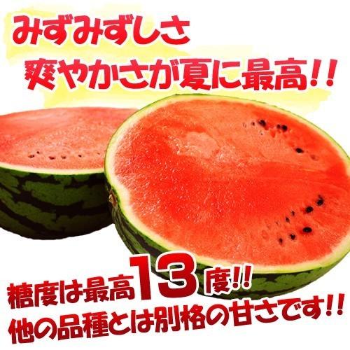 スイカ 西瓜 すいか 尾花沢スイカ 秀品1玉（ 約7〜8kg） 山形県