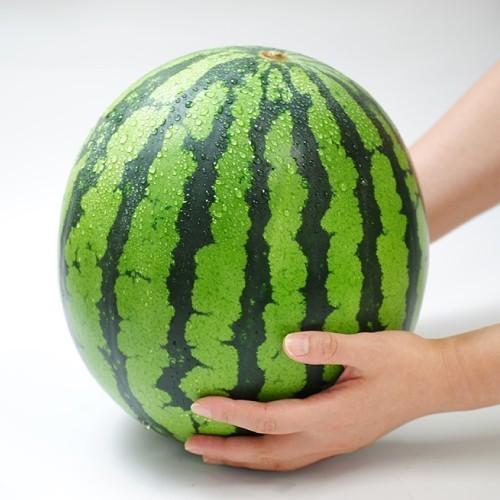 スイカ 西瓜 すいか 尾花沢スイカ 秀品1玉（ 約7〜8kg） 山形県