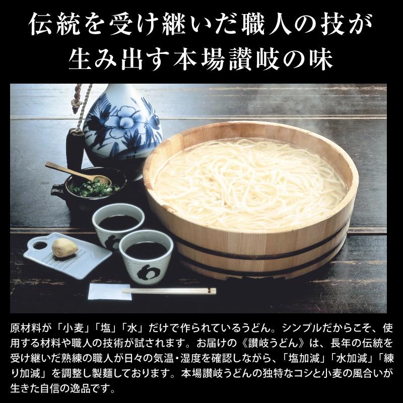 うどん ウドン 饂飩 讃岐 《半生》包丁切り 讃岐うどん14〜21人前（300g×7袋 つゆ付き）【送料無料】 お中元 お歳暮 ご贈答 |  | 02
