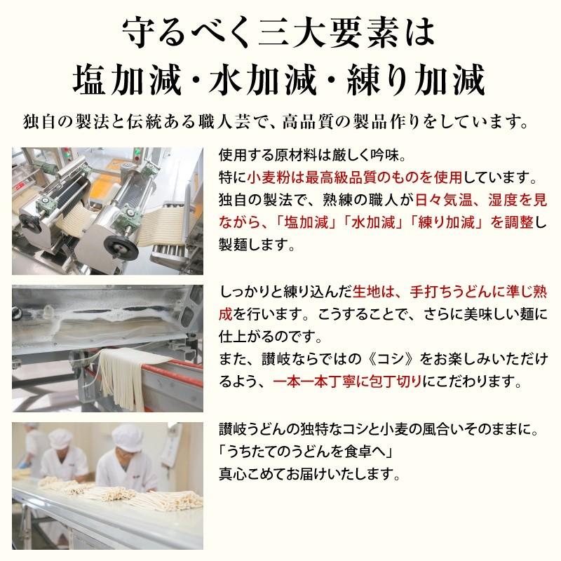 うどん ウドン 饂飩 讃岐 《半生》包丁切り 讃岐うどん14〜21人前（300g×7袋 つゆ付き）【送料無料】 お中元 お歳暮 ご贈答 |  | 03