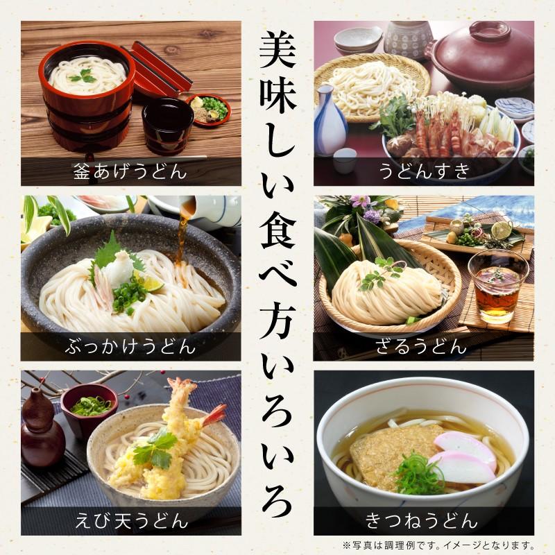 うどん ウドン 饂飩 讃岐 《半生》包丁切り 讃岐うどん14〜21人前（300g×7袋 つゆ付き）【送料無料】 お中元 お歳暮 ご贈答 |  | 05