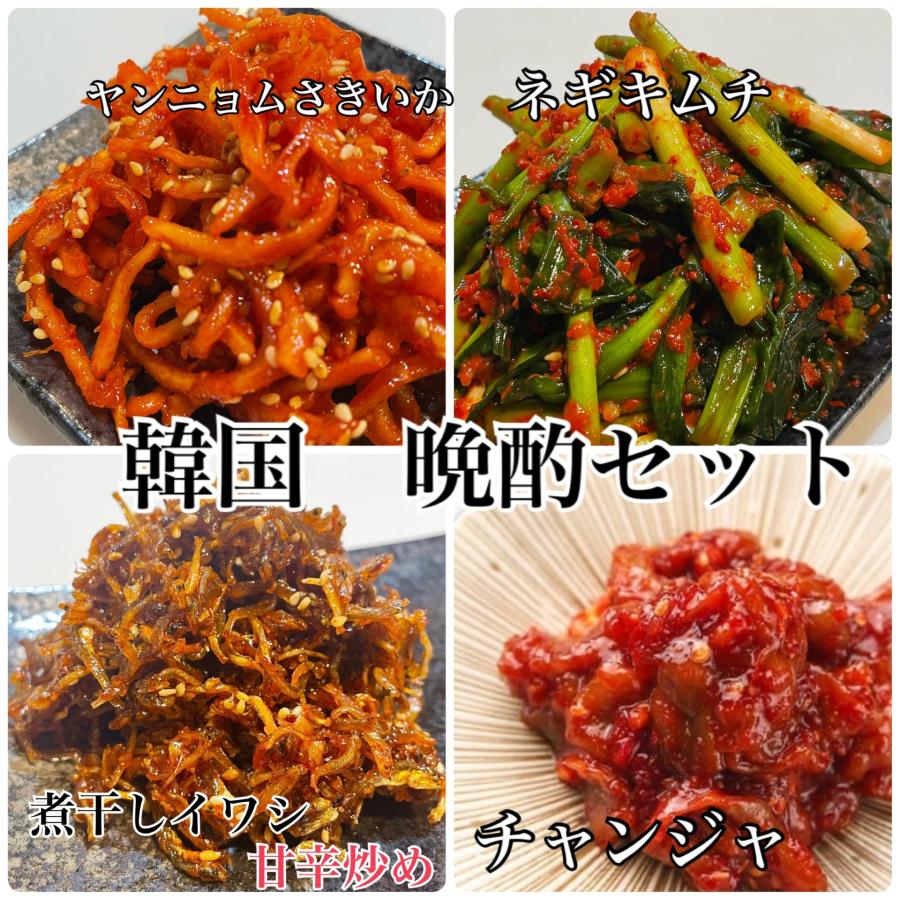 韓国おつまみセット!ネギキムチ チャンジャ ヤンニョムサキイカ 韓国おつまみセット!ネギキムチ チャンジャ ヤンニョムサキイカ