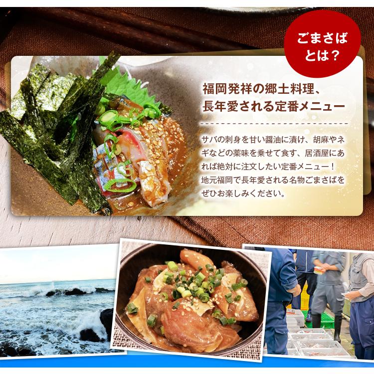 博多名物 ごまさば 10食 セット お茶漬けの素 送料無料 福岡 お取り寄せグルメ 海鮮 おつまみ 大容量 ごま鯖 胡麻さば 冷凍 ギフト [冷凍]｜umamido｜06