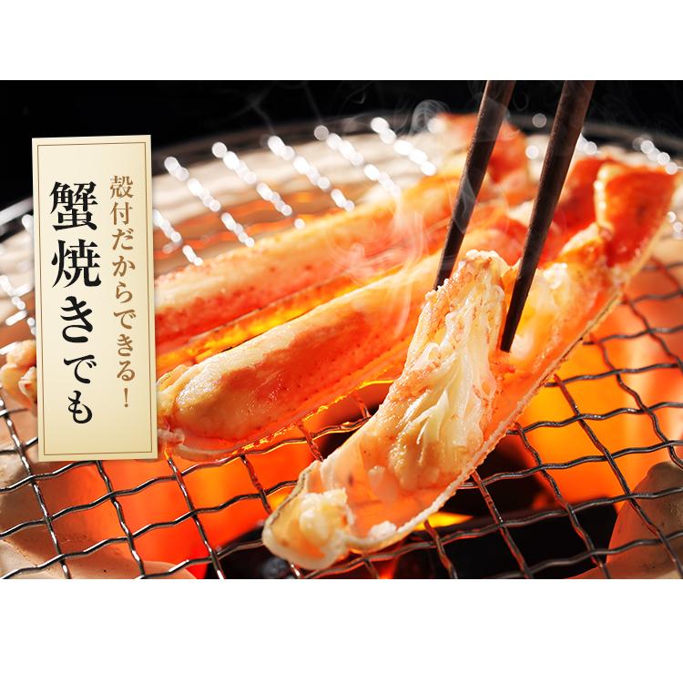 ズワイガニ ボイル済み 600g カット済 ハーフポーション 送料無料 ずわい カニ 蟹 お刺身OK かにしゃぶ かに刺し お取り寄せグルメ 海鮮 丼 年末 お歳暮 [冷凍]｜umamido｜14