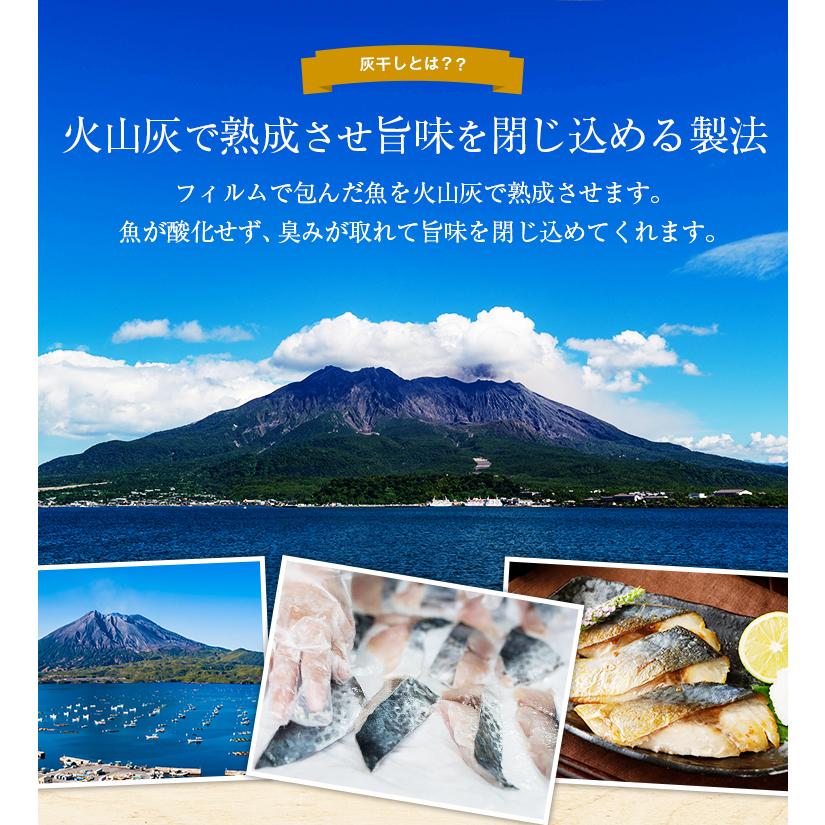 薩摩の灰干し 2袋×3種 14切 干物セット 送料無料 さば 天然鯛 さわら 鹿児島県産 国産 ギフト 冷凍食品 お取り寄せグルメ 火山灰 [産直]｜umamido｜05