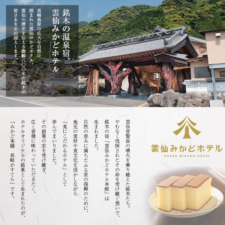 うまみ堂 長崎カステラ 切り落とし 選べる 3パック 訳あり 690g 送料