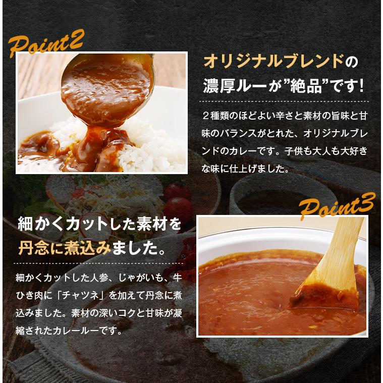 ビーフカレー 200g×4袋 甘口 辛口 選べる オリジナルブレンド 送料無料 カレー レトルト 食品 業務用 ご飯のお供 ご当地 [メール便]｜umamido｜09