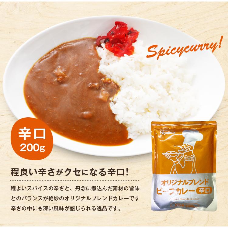 ビーフカレー 200g×5袋 甘口 辛口 選べる オリジナルブレンド 送料無料 1000円 ポッキリ カレー レトルト 食品 詰め合わせ 業務用 ご飯のお供 [メール便]｜umamido｜06