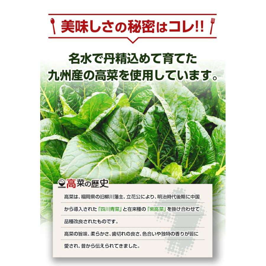 明太辛子高菜 100g 漬物 明太子 九州高菜 福岡 土産 ご飯のお供 送料無料 お試し ポッキリ ポイント消化 高菜漬 旨さに訳あり セール 食品 [メール便]｜umamido｜03