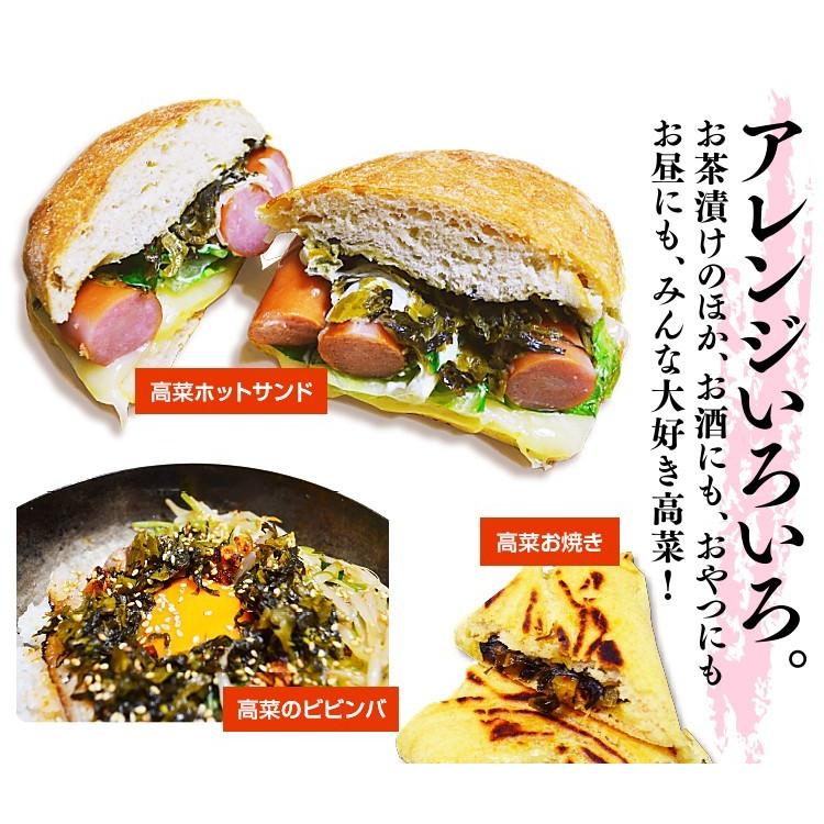 漬物 高菜 お試し 明太高菜 100g 高菜明太子 明太子 辛子高菜 漬け物 ご飯のお供 ポイント消化 送料無料 500円ぽっきり ポッキリ 食品 うま味 爆買 [メール便] | うまみ堂 | 06