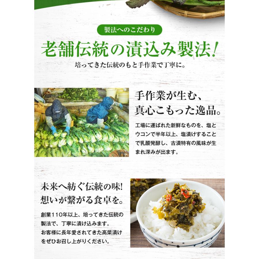 辛子高菜 選べる4袋 明太高菜 高菜油あえ 高菜漬け 送料無料 九州産 鹿児島県 ご飯のお供 たかな お取り寄せグルメ 中園久太郎商店 ギフト [メール便]｜umamido｜14